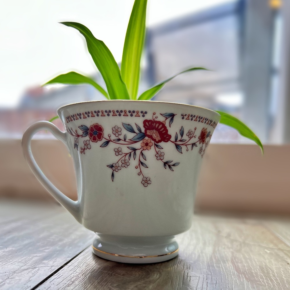 Teacup Planter